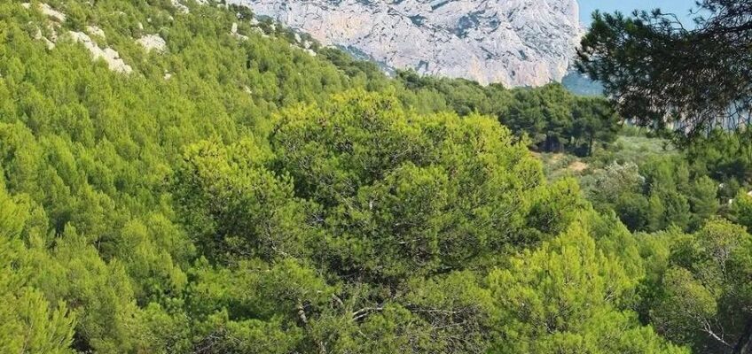 艾克斯-聖維克多山 Aix-Sainte-Victoire